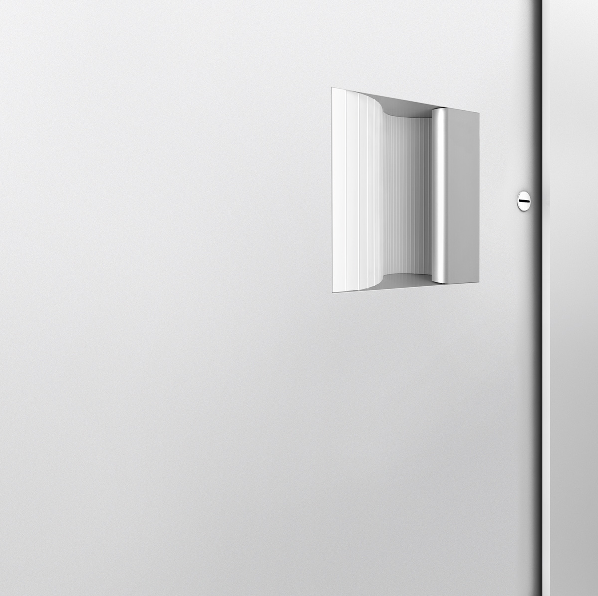 Nahaufnahme einer Griffmuschel