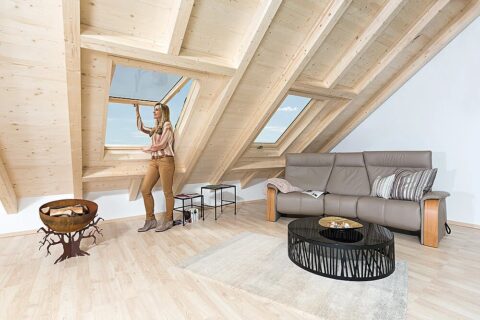 Dachfenster – ROTO Holz