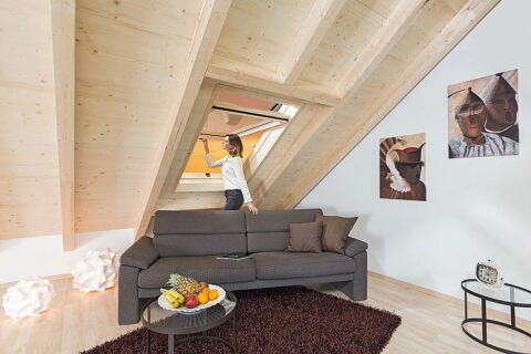 Dachfenster – ROTO Holz